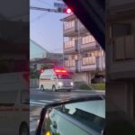 🚨響き渡るサイレン🚨救急車🚨緊急走行🚨赤色灯🚨　#shorts