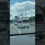 🚨響き渡るサイレン🚨救急車🚨緊急走行🚨赤色灯🚨　#shorts