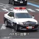 【歩行者妨害】何もない横断歩道で躓く歩行者!!死角があるにも関わらず歩行者が居ない前提の速度で走り抜けた軽自動車がパトカーに検挙される瞬間!!