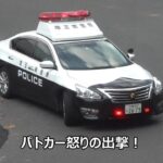 【一時不停止】どうして止まらぬレクサスにパトカー怒りの出撃!!