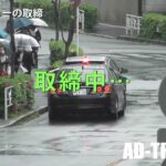 雨の中でも交通機動隊は違反を見逃さない！対向車線から緊急走行でベンツを追う覆面パトカー