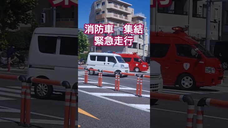 緊急走行　消防車集結　　#火災　#火災現場　