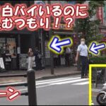 【警察２４時】え！？全員びっくり！白バイいるのに突っ込むつもり！？いろんな交通取り締まり