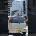 消防車緊急走行