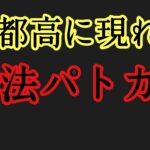 緊急走行でないのに大幅にスピード違反するパトカーが現れる😨