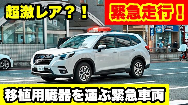 【超激レア車両が緊急走行！】移植用臓器を運ぶ無地の白フォレスターが緊急走行！