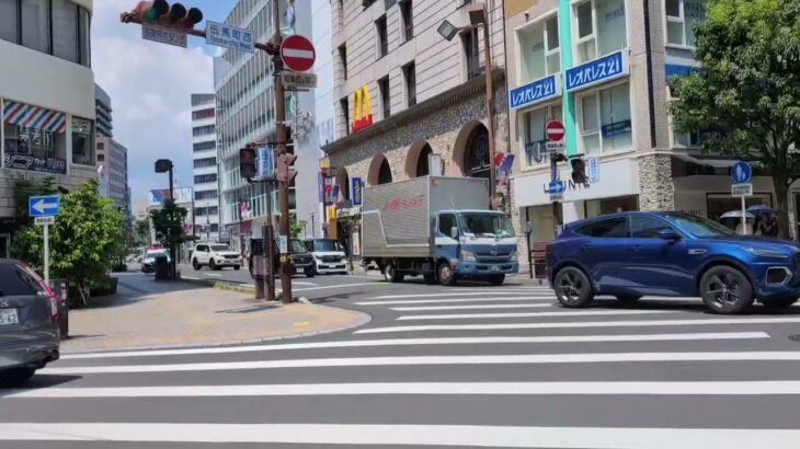 静岡県警220系のパトがサイレンを鳴らして緊急走行！#パトカー