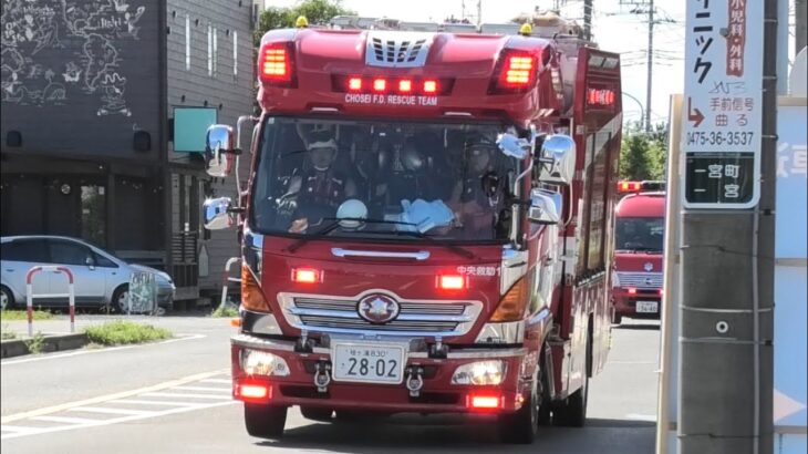 現場へ急げ！緊急車両 ~Emergency Vehicle~