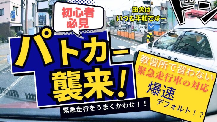 【爆速パトカー】緊急走行の対応はこの流れでOK 《初心者向け急な進路変更のポイント》