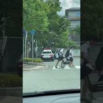 🚨違反者を捕まえたパトカー🚨兵庫県警🚨　#shorts