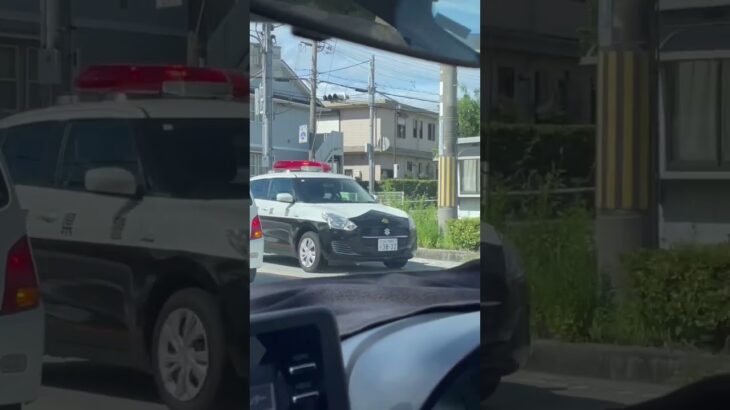 🚨パトカー🚨パトロール🚨兵庫県警🚨　#shorts