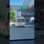 🚨響き渡るサイレン🚨救急車🚨緊急走行🚨赤色灯🚨　#shorts