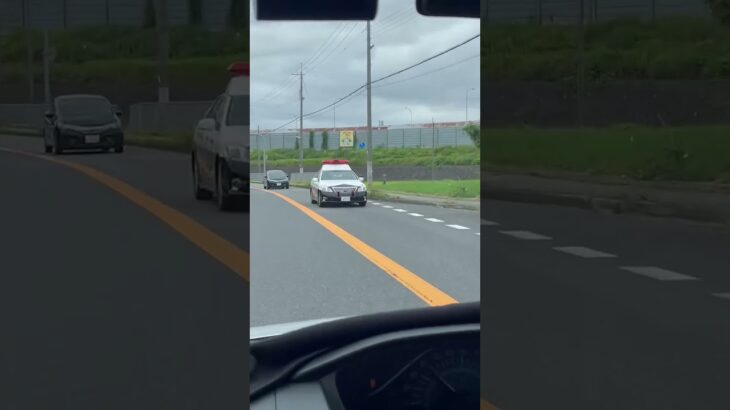 🚨パトカー🚨パトロール🚨赤色灯🚨兵庫県警🚨　#shorts