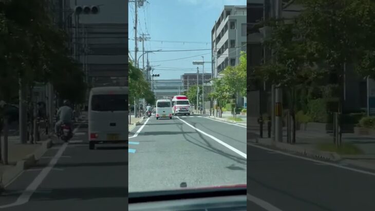 🚨響き渡るサイレン🚨救急車🚨緊急走行🚨赤色灯🚨　#shorts