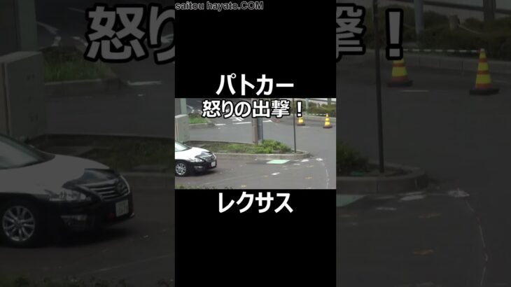 パトカーの目の前で粗相（一時停止無視）のレクサスに怒りの出撃!!#shorts