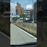 🚨パトカー🚨パトロール🚨兵庫県警🚨赤色灯🚨　#shorts