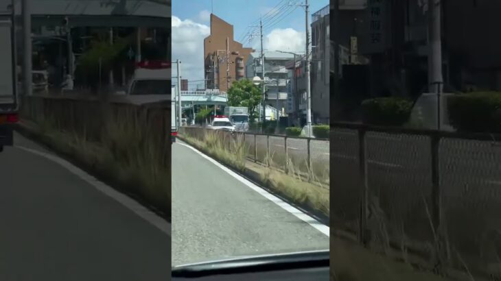 🚨パトカー🚨パトロール🚨兵庫県警🚨赤色灯🚨　#shorts