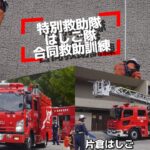 中高層建物火災！ 建物内に要救多数！ 松見特別救助隊 片倉はしご隊 緊急出場！ 横浜市消防局 横浜市民防災センター 防セン☆秋のキャラまつり 緊急走行