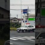 【緊急走行】埼玉県警察マイクパフォーマンス