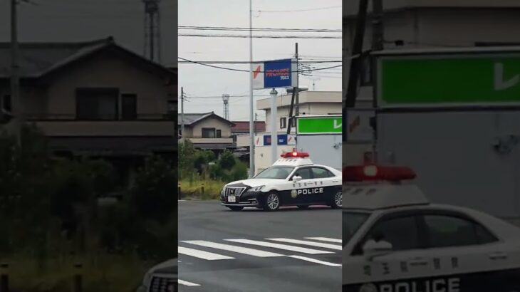 【緊急走行】埼玉県警察マイクパフォーマンス