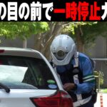 検挙は白バイだけじゃないぜ！スクーター警察官の目の前で一時停止をガン無視する違反車を猛追！逃げ込んだ路地で一網打尽にする一部始終　他・ネズミ捕り取締りの悲喜こもごも　第二交通機動隊の覆面パトカー