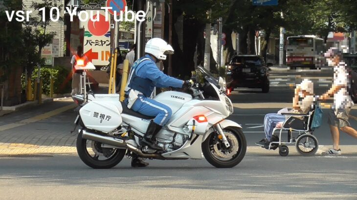 車イスが渡ろうとしてるのに…どこ見てる？これは許せないと白バイがお咎め！！