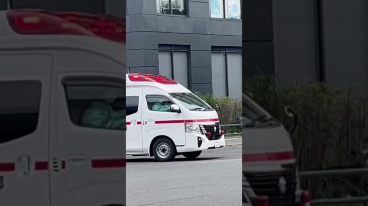 岐阜市消防本部　救急車　緊急走行 #ambulanza #vigilidelfuoco #krankenwagen #feuerwehr #緊急車両　#救急車 #岐阜市 #ambulance