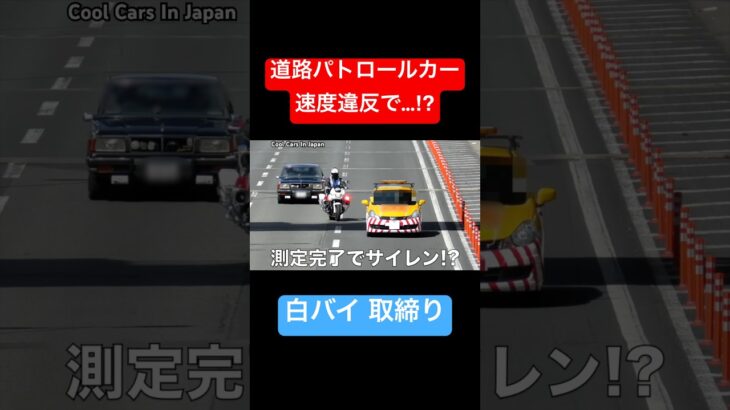 道路パトロールカーが白バイに捕まる⁉️ #shorts