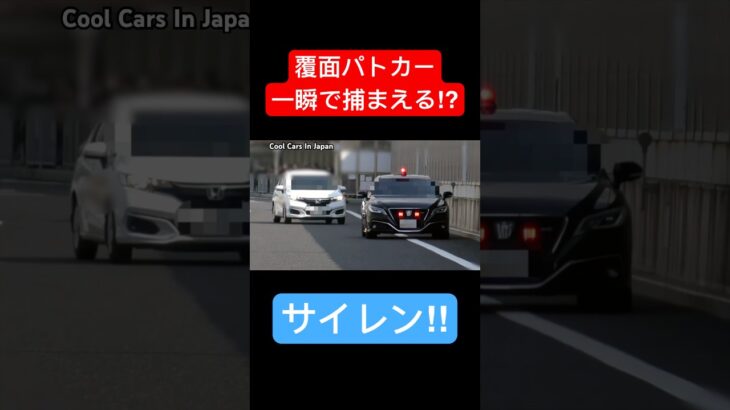 一瞬で捕まえる覆面パトカー⁉️ サイレン‼️  #shorts