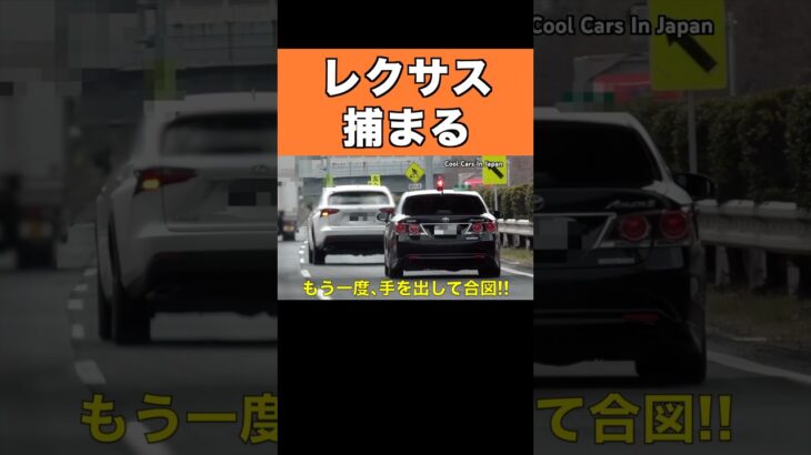 速度違反のレクサスに天罰‼️ #覆面パトカー #shorts