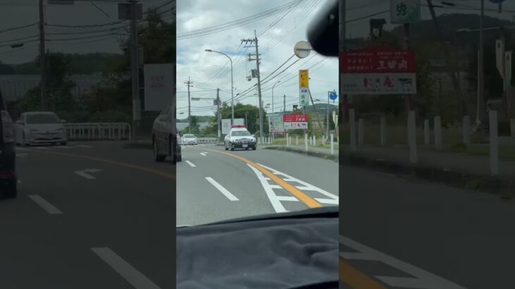 🚨兵庫県警🚨パトカー🚨パトロール🚨　#shorts