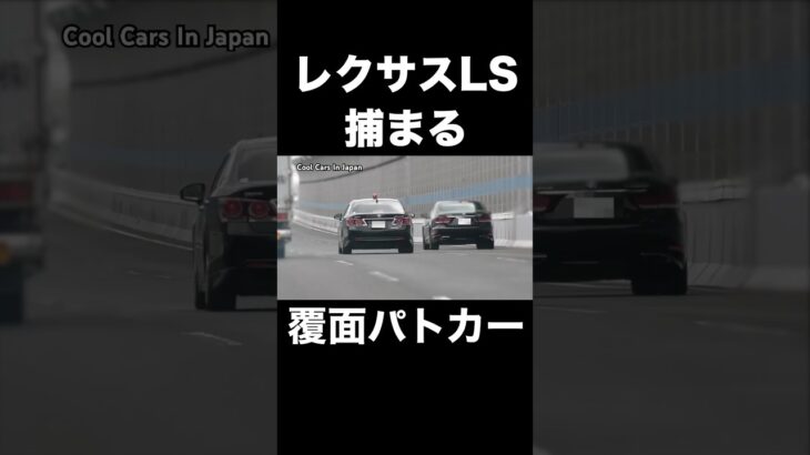 速度違反のレクサスが覆面パトカーに捕まる‼️　#shorts