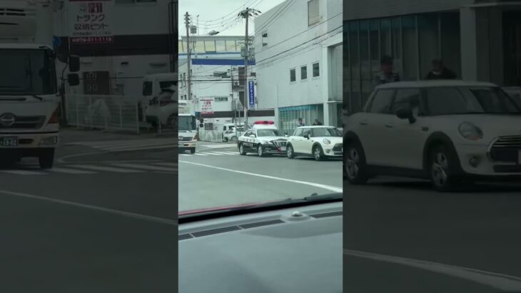 🚨信号無視の違反車を捕まえたパトカー🚨兵庫県警🚨赤色灯🚨パトカー🚨　#shorts