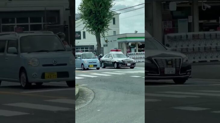 🚨大阪府警🚨パトカー🚨パトロール🚨　#shorts