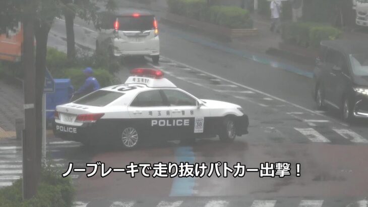 【パトカー取締り】まさか警察車両のアリオンだった？対向のアルファードが譲ってるのに台車で超目立つ配達員の目の前をノーブレーキで走り抜けた金髪女性ドライバーの顛末!!