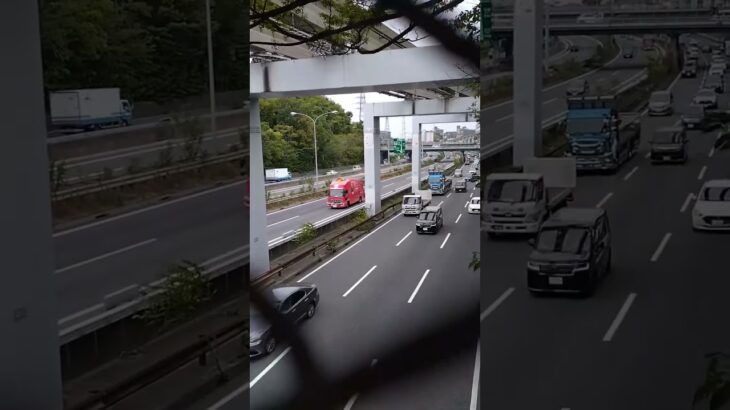 🚨圧巻🚨消防車両車列🚨高速道路🚨レスキュー車🚨赤色灯🚨　#shorts