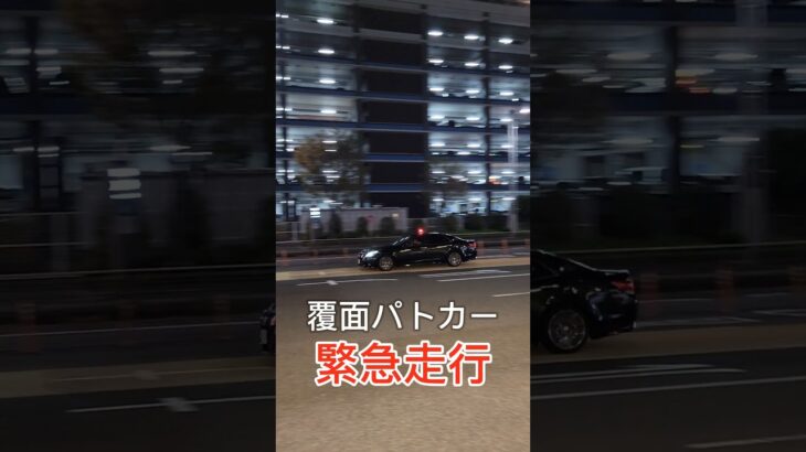 覆面パトカー緊急走行‼️