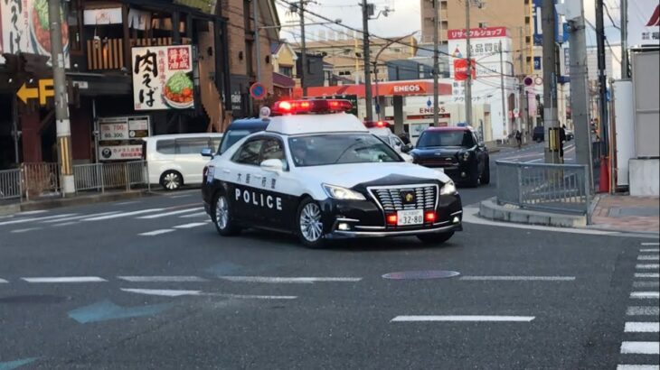 【緊急走行】2台のパトカーが緊急走行！大阪府警  210系クラウンパトカー