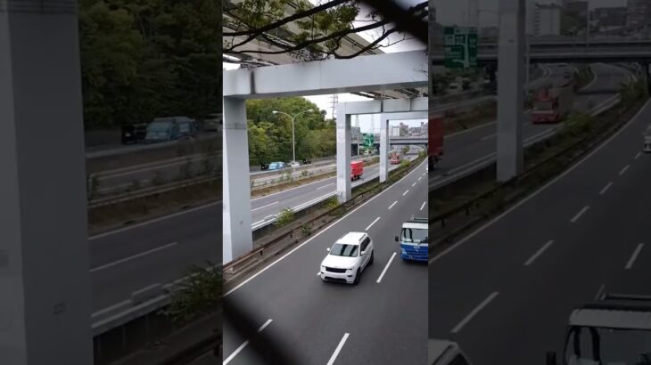 🚨高速道路を走るレスキュー車2台🚨消防車両🚨消防車🚨消防庁🚨　#shorts