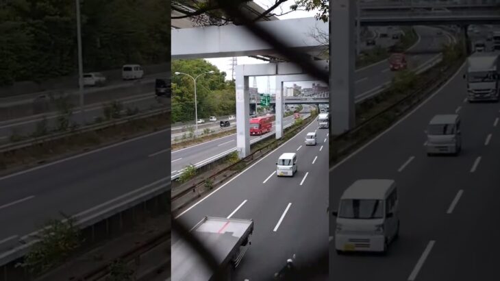 🚨赤色灯🚨高速道路を走る消防車両2台🚨消防車🚨レスキュー車🚨消防庁🚨　#shorts