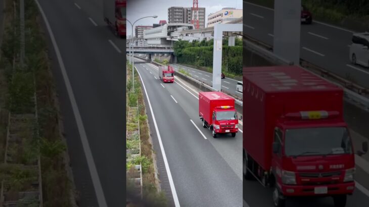 🚨高速道路を走る消防車両2台🚨消防庁🚨レスキュー🚨赤色灯🚨　#shorts