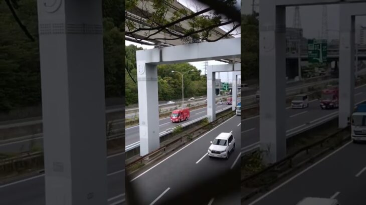 🚨高速道路を走る消防車両2台🚨消防車🚨消防庁🚨レスキュー🚨レスキュー車🚨　#shorts