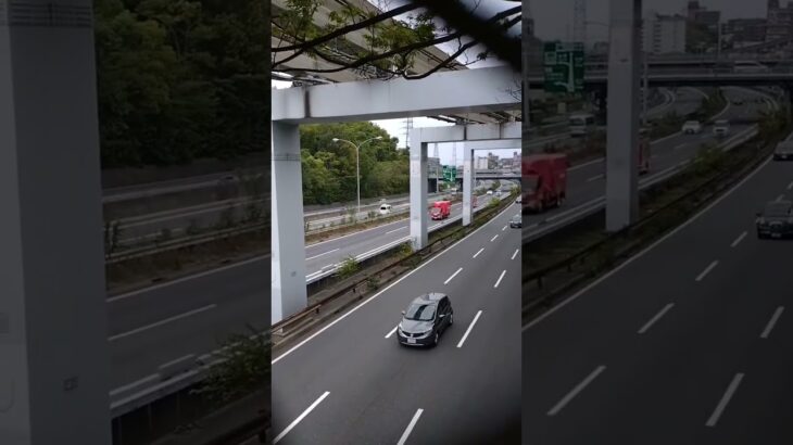 🚨高速道路を走る消防車両3台🚨消防車🚨レスキュー車🚨消防庁🚨レスキュー🚨　#shorts