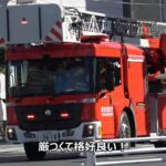 火災通報に特別救助隊（上野R）・はしご車（本所L）など集結！！！ハザードの消し忘れで「危険な割り込み」が発生した一部始終…