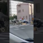 🚨パトカー🚨大阪府警🚨パトロール🚨　#shorts