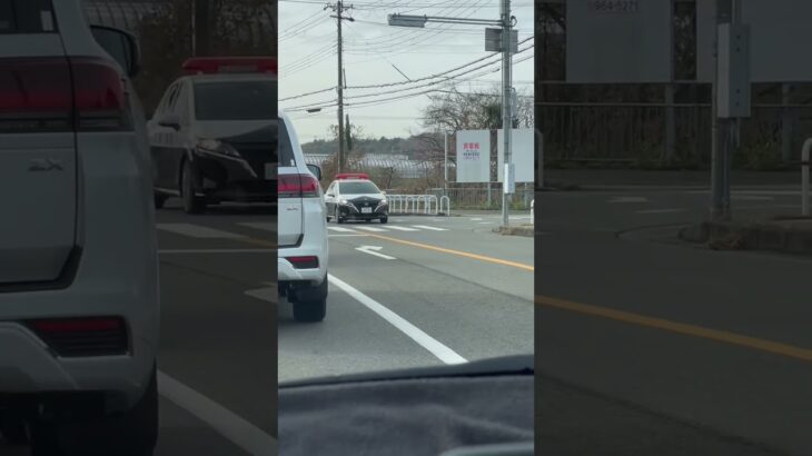 🚨兵庫県警🚨パトカー🚨赤色灯🚨パトロール🚨　#shorts