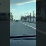 🚨パトカー🚨洲本署🚨兵庫県警🚨赤色灯🚨パトロール🚨　#shorts