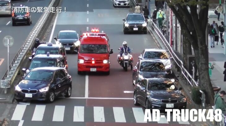 明治通りを緊急走行する消防指揮車に道を譲る交機の白バイ隊員