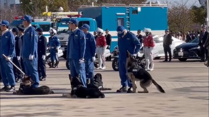 🐕年頭視閲式で退屈する警察犬笑🐕　令和7年年頭視閲式🚨