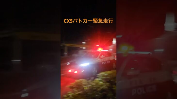 埼玉県警察CX5&アリオン捜査車両緊急走行🚨#緊急車両 #パトカー